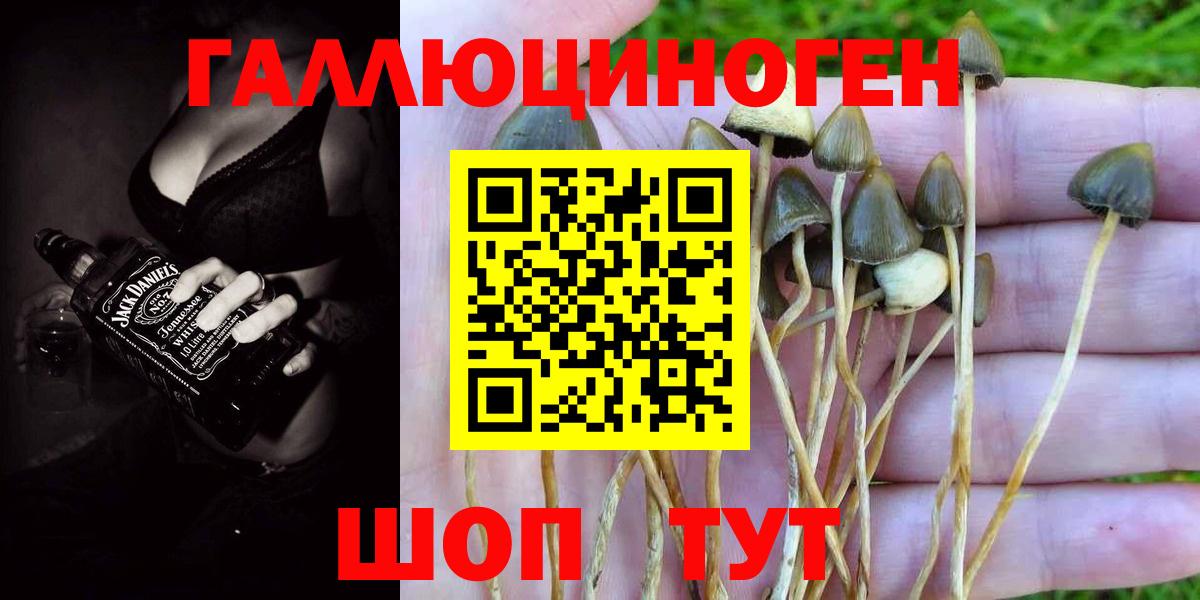 Галлюциногенные грибы MAGIC MUSHROOMS Курчалой