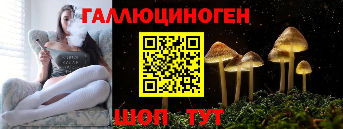 Галлюциногенные грибы GOLDEN TEACHER  Вход с VPN  Курчалой 